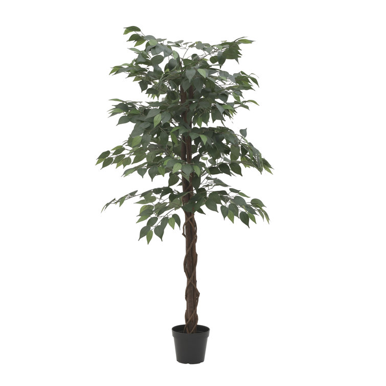The Seasonal Aisle 150Cm Faux Ficus Tree in Pot Wayfair.co.uk